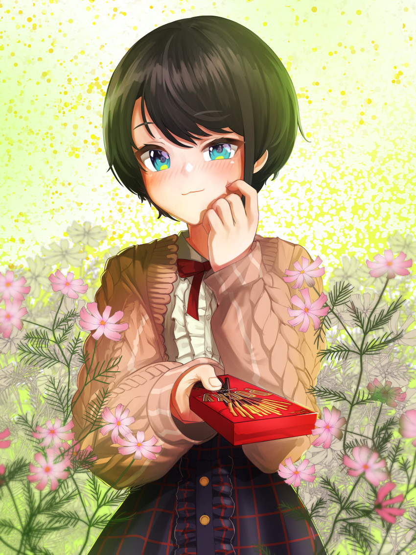 1girl :3 absurdres aqua_eyes aran_sweater bangs black_hair blue_eyes blue_skirt blush bow bowtie center_frills closed_mouth food frilled_shirt frilled_skirt frills high-waist_skirt highres hololive long_sleeves looking_at_viewer meme_attire oozora_subaru pink_sweater plaid plaid_skirt pocky red_bow red_bowtie scratching_cheek shirt short_hair skirt solo stpen sweater swept_bangs upper_body virgin_killer_outfit virtual_youtuber white_shirt