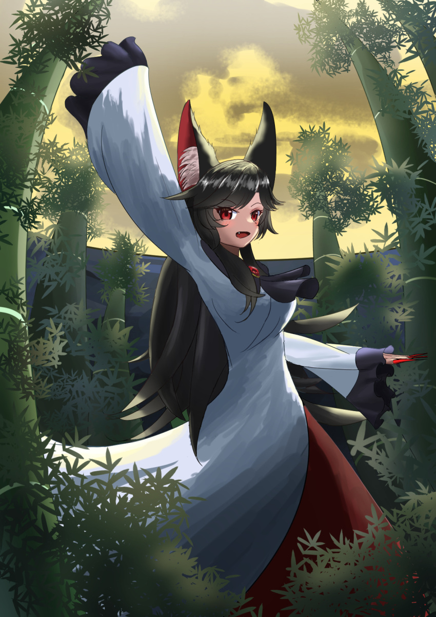 1girl animal_ears ascot bamboo bamboo_forest bangs black_ascot black_hair breasts brooch clouds commentary_request dress fang feet_out_of_frame fingernails forest highres imaizumi_kagerou jewelry long_fingernails long_hair long_sleeves looking_at_viewer medium_breasts nature open_mouth outdoors red_eyes red_nails sanematsu0 solo swept_bangs touhou touhou_danmaku_kagura very_long_fingernails white_dress wide_sleeves wolf_ears wolf_girl yellow_sky
