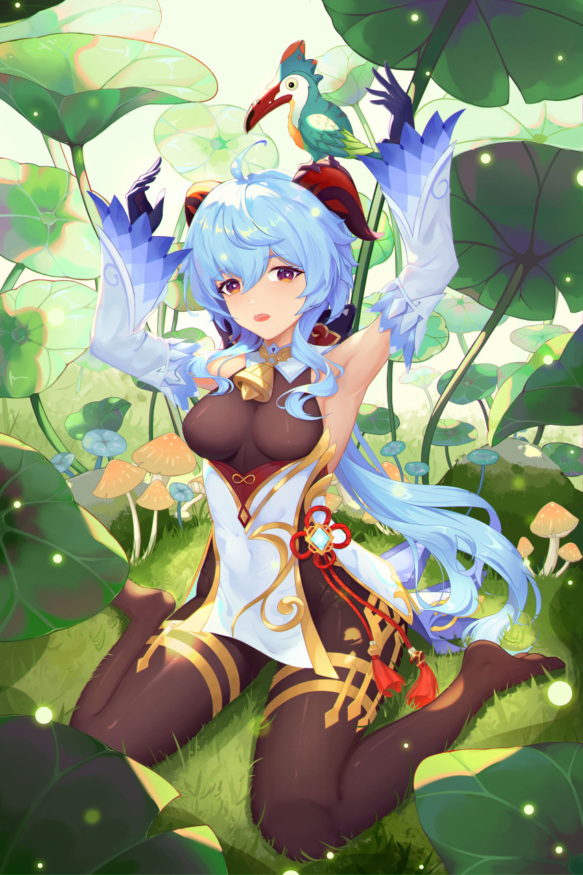 1girl absurdres ahoge animal_on_head armpits arms_up bangs bare_shoulders bell bird bird_on_head black_gloves black_leotard blue_hair breasts brown_pantyhose chinese_knot detached_sleeves flower_knot ganyu_(genshin_impact) genshin_impact gloves gold_trim grass highres horns leotard leotard_under_clothes long_hair looking_at_viewer medium_breasts mushroom neck_bell no_shoes on_head open_mouth outdoors pantyhose sidelocks sitting solo tassel thighlet user_vuan2785 violet_eyes vision_(genshin_impact) wariza white_sleeves