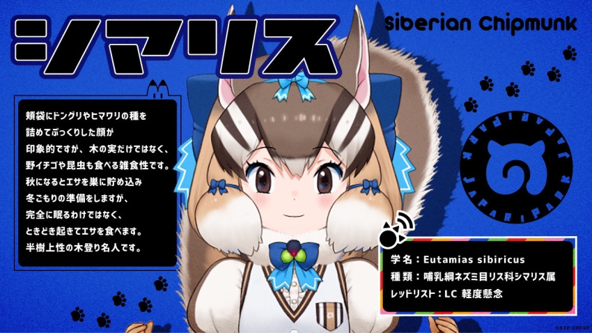 1girl animal_costume animal_ears bow bowtie brown_eyes brown_hair chipmunk_costume chipmunk_ears chipmunk_girl chipmunk_tail kemono_friends kemono_friends_v_project looking_at_viewer microphone multicolored_hair official_art ribbon scarf short_hair siberian_chipmunk_(kemono_friends) solo virtual_youtuber yoshizaki_mine
