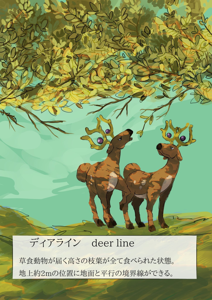 animal_focus bilingual black_eyes blue_sky bright_pupils closed_mouth commentary_request dappled_sunlight day deer eating english_text full_body furirikkuru grass highres looking_up mixed-language_text no_humans open_mouth outdoors pokemon pokemon_(creature) sketch sky standing stantler sunlight text_focus translation_request tree white_pupils