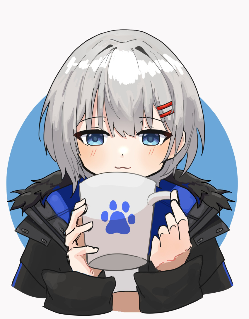 1girl :3 black_jacket blue_eyes blue_jacket blush commentary cropped_torso cup facing_viewer fur-trimmed_jacket fur_trim grey_hair hair_ornament hairclip highres holding holding_cup hood hooded_jacket jacket mug multicolored_clothes multicolored_jacket paw_print rurine_luna shiny shiny_hair sketch solo spanish_commentary totssu5 two-sided_fabric virtual_youtuber wactor_production