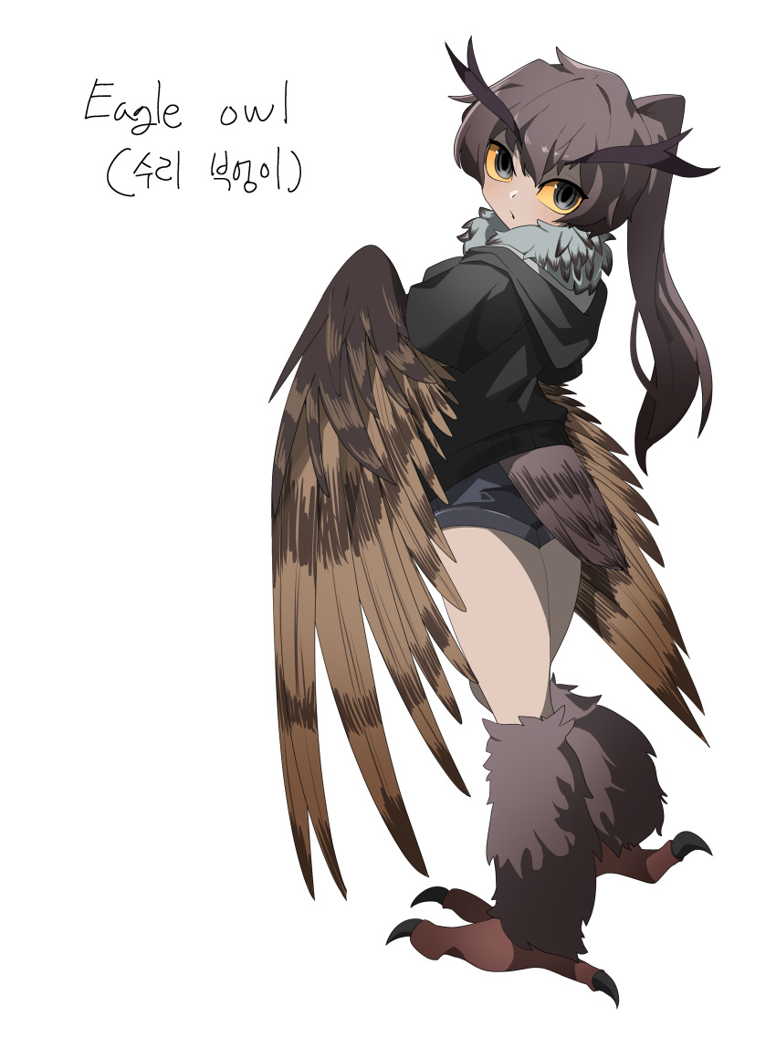 1girl absurdres bangs bird_legs bird_tail black_eyes black_jacket brown_feathers brown_hair brown_wings colored_sclera commentary feathers gomulgong harpy highres hood hood_down jacket long_hair looking_at_viewer looking_back monster_girl neck_ruff original owl_girl ponytail short_shorts shorts solo tail tail_feathers talons winged_arms wings yellow_sclera