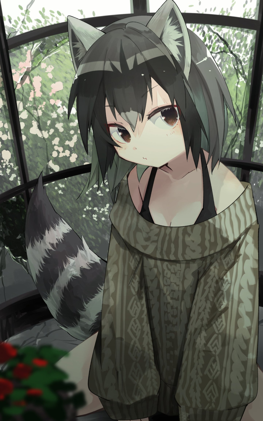 1girl alternate_costume animal_ears black_hair black_tank_top blush brown_eyes casual commentary_request common_raccoon_(kemono_friends) green_sweater grey_hair highres kemono_friends long_sleeves looking_at_viewer multicolored_hair nanana_(nanana_iz) raccoon_ears raccoon_girl raccoon_tail short_hair solo sweater tail tank_top