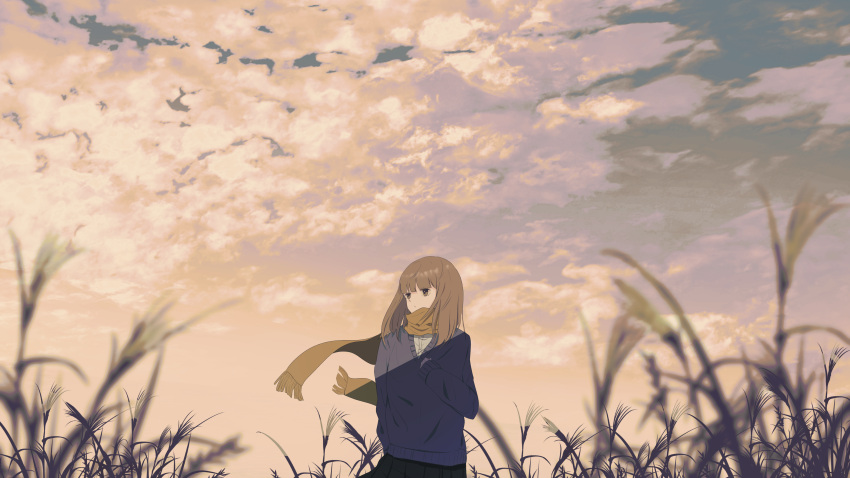 1girl absurdres autumn bangs blue_skirt blue_sweater brown_hair clouds cloudy_sky hand_on_own_chest hand_up highres long_hair original pleated_skirt scarf scenery school_uniform shion_08 shirt skirt sky solo sweater white_shirt wide_shot