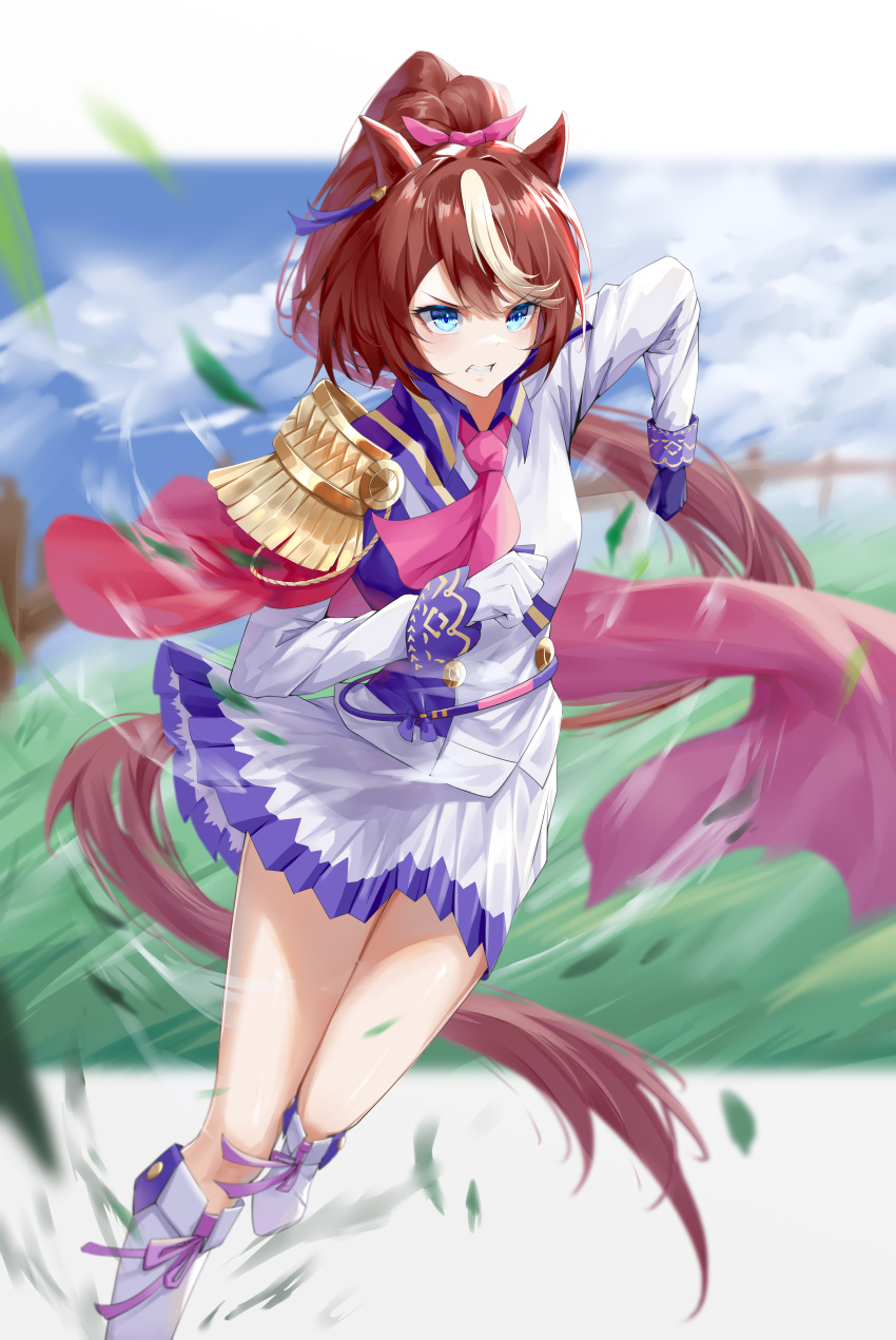 1girl absurdres alin_leng_bu_sheng animal_ears asymmetrical_gloves bangs blue_eyes blue_sky boots brown_hair clouds cloudy_sky gloves grass highres horse_ears horse_girl horse_tail jacket long_hair long_sleeves looking_at_viewer mismatched_gloves motion_lines outdoors parted_lips ponytail skirt sky solo tail teeth tokai_teio_(umamusume) umamusume violet_eyes white_footwear white_gloves white_jacket white_skirt