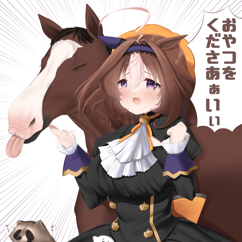 &gt;_&lt; :3 @_@ absurdres ahoge animal_ears black_dress blush breasts brown_hair clenched_hand closed_eyes commentary creature_and_personification days_in_a_flash_(umamusume) dress ear_covers emphasis_lines frilled_sleeves frills hairband highres horse_ears horse_girl kanda_kaname large_breasts long_sleeves meisho_doto_(dot-o'-lantern)_(umamusume) meisho_doto_(racehorse) meisho_doto_(umamusume) multicolored_hair official_alternate_costume orange_headwear puffy_sleeves purple_hairband short_hair single_ear_cover tanuki tongue tongue_out translated two-tone_hair umamusume violet_eyes white_hair