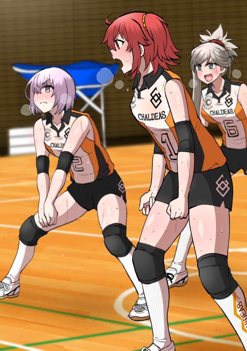 3girls bangs breasts breath burningsushi clenched_hands closed_mouth collared_shirt dripping elbow_pads fate/grand_order fate_(series) fujimaru_ritsuka_(female) green_eyes grey_hair gym hair_over_one_eye highres indoors knee_guards kneehighs leaning_forward long_hair looking_at_another looking_up mash_kyrielight miyamoto_musashi_(fate) multiple_girls open_mouth own_hands_together pink_hair ponytail red_eyes redhead shiny shiny_skin shirt shoes short_hair shorts shouting side_ponytail sleeveless small_breasts socks sportswear squatting sweat sweaty_clothes thighs violet_eyes volleyball volleyball_uniform