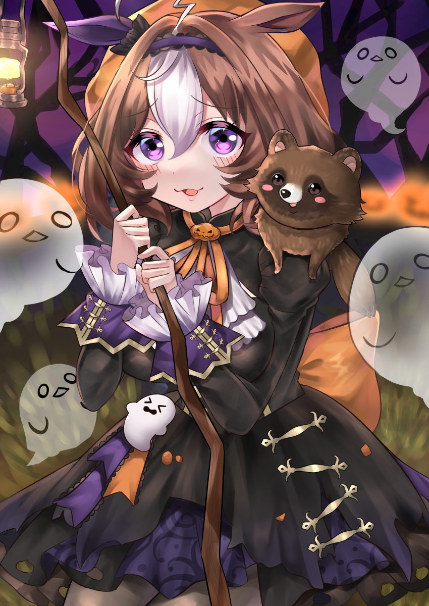 1girl :3 absurdres ahoge animal_ears animal_on_shoulder back_bow bangs bare_tree black_dress black_ribbon bow brown_hair commentary_request days_in_a_flash_(umamusume) dress ear_covers frilled_ribbon frilled_sleeves frills ghost ghost_ornament hair_intakes hair_ribbon halloween halloween_costume hat highres holding holding_pole horse_ears horse_girl inairego116 jack-o'-lantern lantern long_sleeves looking_at_viewer medium_hair meisho_doto_(dot-o'-lantern)_(umamusume) meisho_doto_(umamusume) multicolored_hair neck_ribbon night official_alternate_costume open_mouth orange_bow orange_headwear orange_ribbon outdoors partial_commentary pole raccoon ribbon short_dress single_ear_cover smile solo standing tree two-tone_hair umamusume violet_eyes white_hair