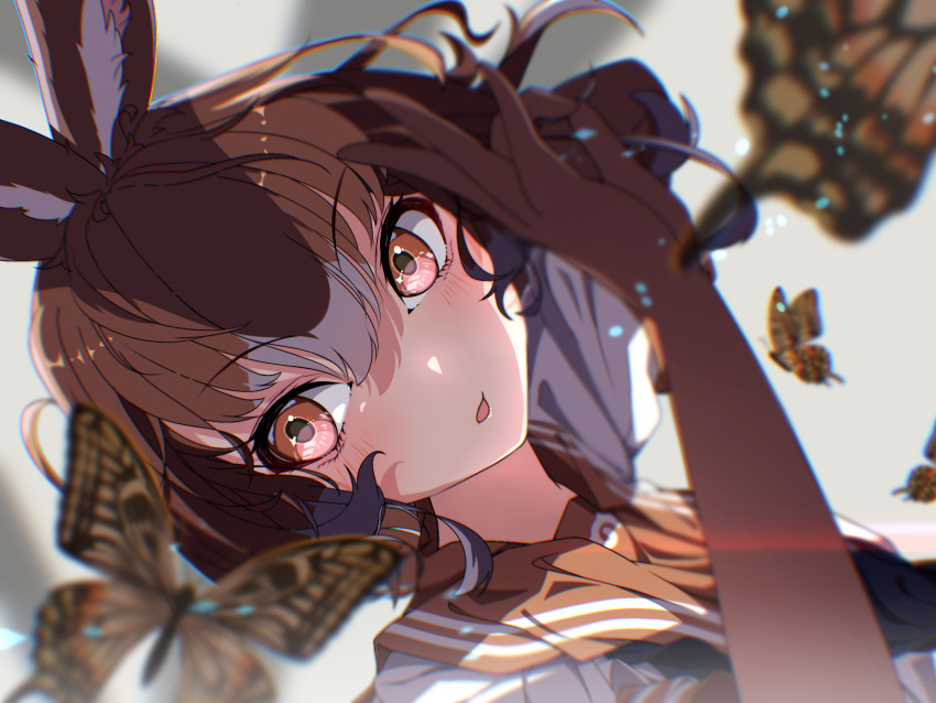 1girl animal_ears arm_up bangs brown_gloves brown_hair bug butterfly dutch_angle elbow_gloves european_hare_(kemono_friends) gloves grey_hair hair_between_eyes hand_up highres kemono_friends looking_at_viewer medium_hair multicolored_hair parted_lips rabbit_ears red_eyes sarutori shirt short_sleeves two-tone_hair