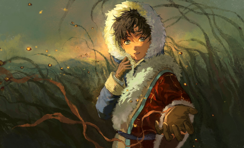 1boy adjusting_clothes adjusting_hood bangs beckoning black_hair brown_gloves burning chinese_commentary elyonlz field fire floating_clothes fur-trimmed_hood fur_trim gloves hand_up highres hood hood_up light_particles light_smile long_sleeves looking_at_viewer male_focus nature original outdoors outstretched_arm reaching reaching_out red_ribbon ribbon robe sash solo upper_body wind winter_clothes