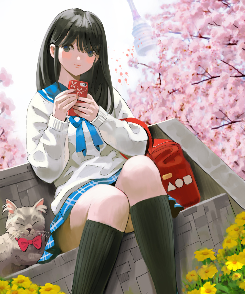 1girl absurdres arowana2111 bangs black_eyes black_hair black_socks blue_neckerchief blue_sailor_collar blue_skirt bow cardigan cat cherry_blossoms closed_mouth commentary dated_commentary day english_commentary feet_out_of_frame fingernails flower highres holding holding_phone kneehighs long_hair long_sleeves looking_at_viewer neckerchief original outdoors phone red_bow sailor_collar school_uniform serafuku sitting skirt smile socks solo white_cardigan yellow_flower