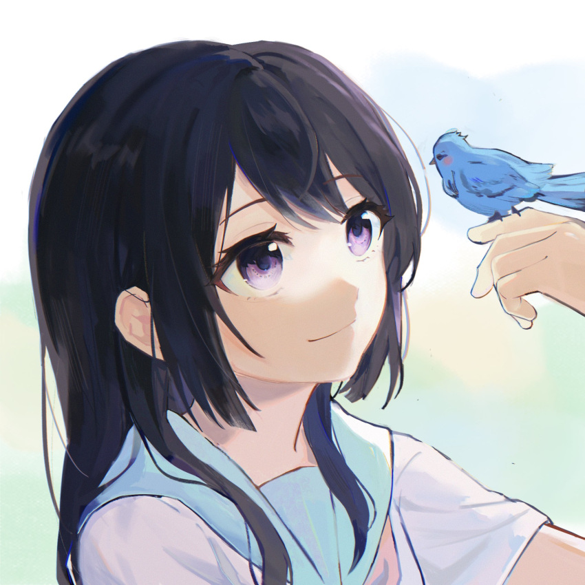 1girl animal bangs bird black_hair blue_sailor_collar bluebird blurry blurry_background blush closed_mouth fufu_060211 hand_up hibike!_euphonium highres holding holding_animal kitauji_high_school_uniform kousaka_reina liz_to_aoi_tori long_hair looking_at_another neckerchief pink_neckerchief sailor_collar school_uniform serafuku shirt short_sleeves smile solo uniform violet_eyes white_shirt