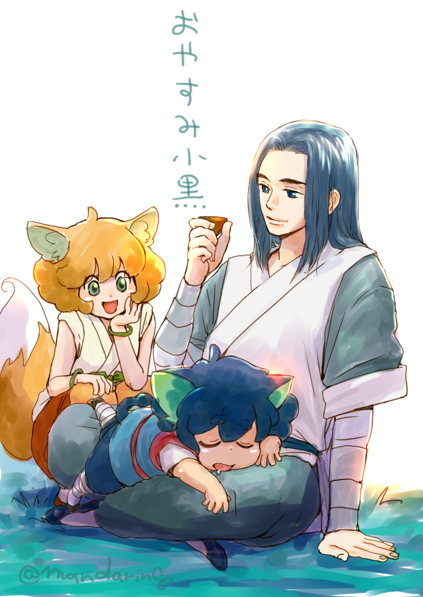 1girl 2boys animal_ears artist_name black_hair blue_eyes cat_boy cat_ears child closed_eyes fox_ears fox_girl fox_tail grass green_eyes highres holding luoxiaohei mandaringo multiple_boys orange_hair ruoshui_(the_legend_of_luoxiaohei) short_hair short_sleeves sleeping tail the_legend_of_luo_xiaohei white_background wuxian_(the_legend_of_luoxiaohei)