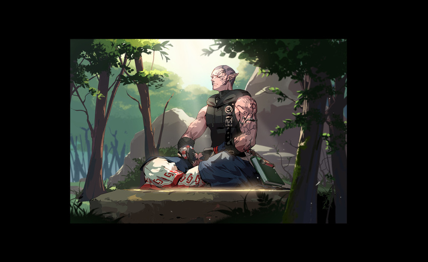 1boy bald beads book closed_mouth crossed_legs dungeon_and_fighter full_body grass keto_cactus light light_rays meditation muscular nature official_art outdoors pointy_ears potion prayer_beads rock sitting summoner_rhum_(dungeon_and_fighter) tree