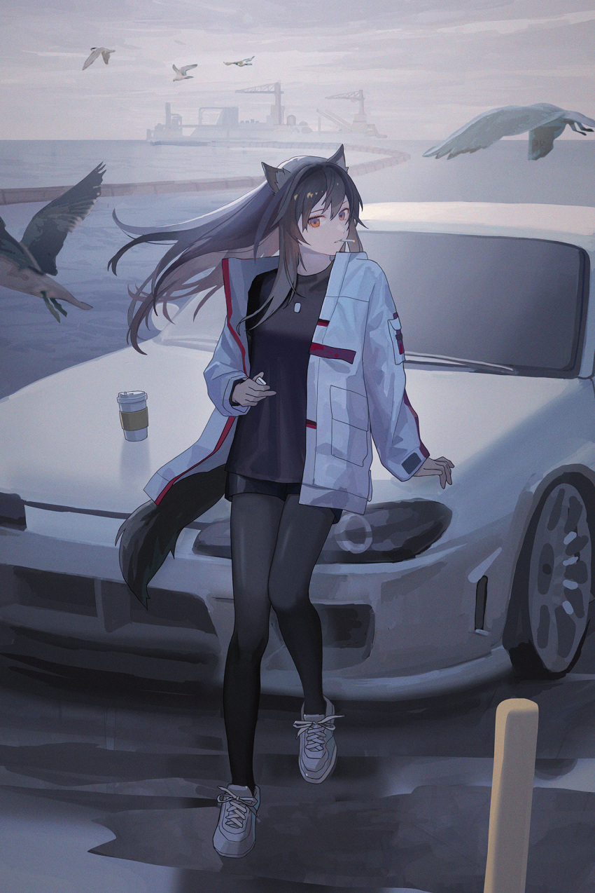 1girl animal_ears arknights bird black_hair black_pantyhose black_shirt black_shorts car cigarette full_body ground_vehicle highres jacket long_sleeves motor_vehicle open_clothes open_jacket orange_eyes pantyhose parted_lips shikisimayu shirt shoes shorts sneakers solo tail texas_(arknights) white_footwear white_jacket wolf_ears wolf_tail