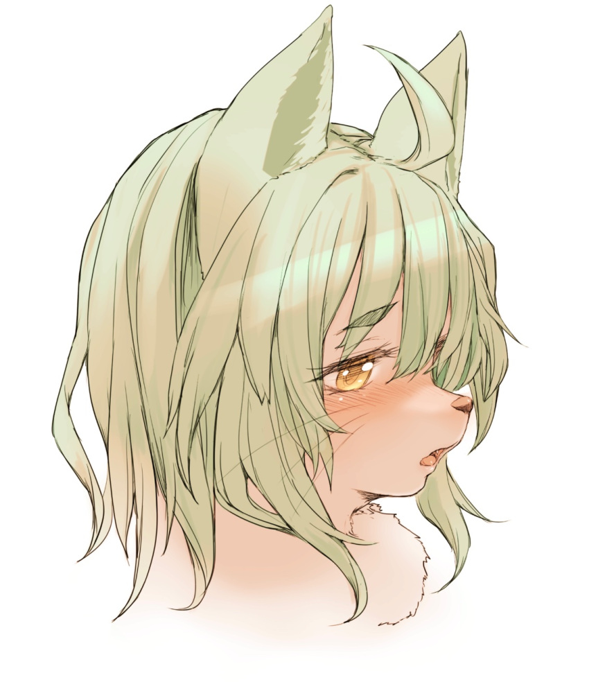1girl ahoge animal_ears blush cat_ears cat_girl cat_tail green_hair hawthorn highres open_mouth original shiny shiny_hair short_hair simple_background solo tail upper_body whiskers white_background yellow_eyes