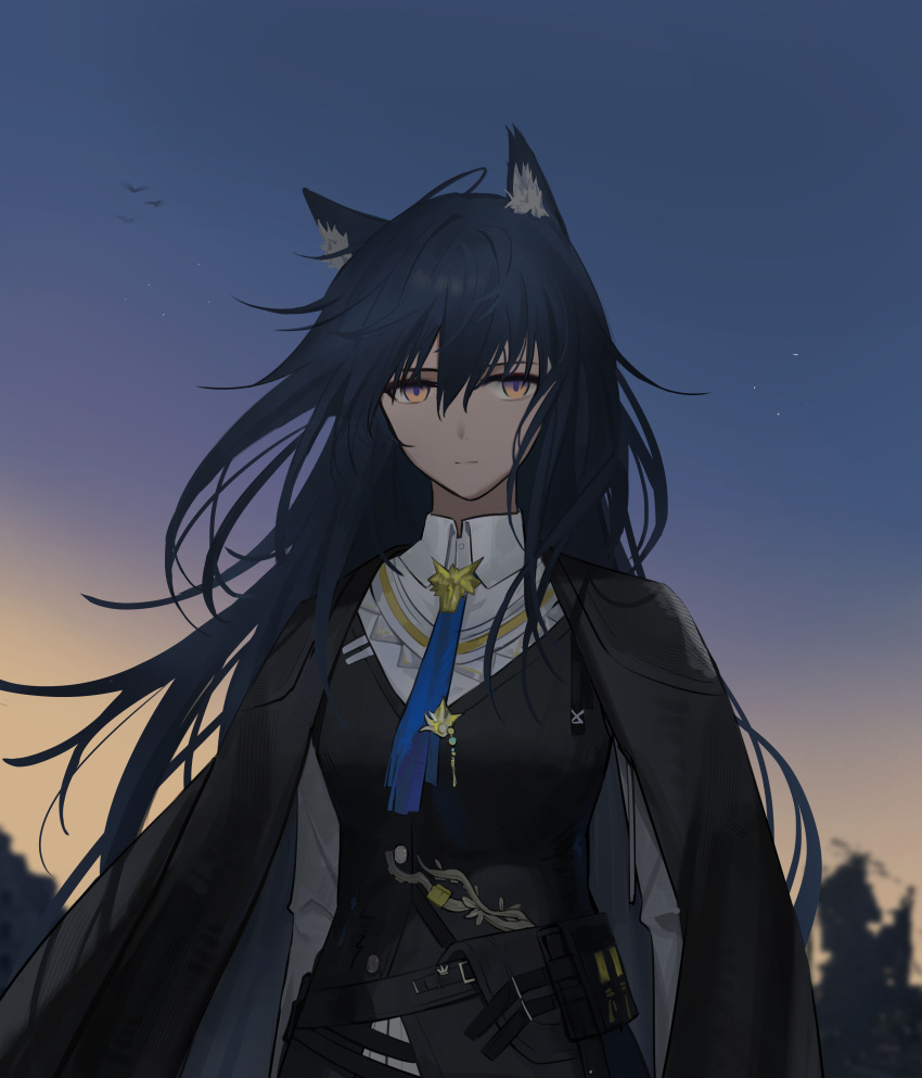 absurdres animal_ear_fluff animal_ears arknights belt belt_pouch black_cape black_hair black_vest blue_necktie cape closed_mouth collared_shirt dusk gradient_sky highres long_hair looking_at_viewer necktie outdoors pouch senkane shirt sky texas_(arknights) texas_the_omertosa_(arknights) upper_body very_long_hair vest white_shirt wolf_ears yellow_eyes