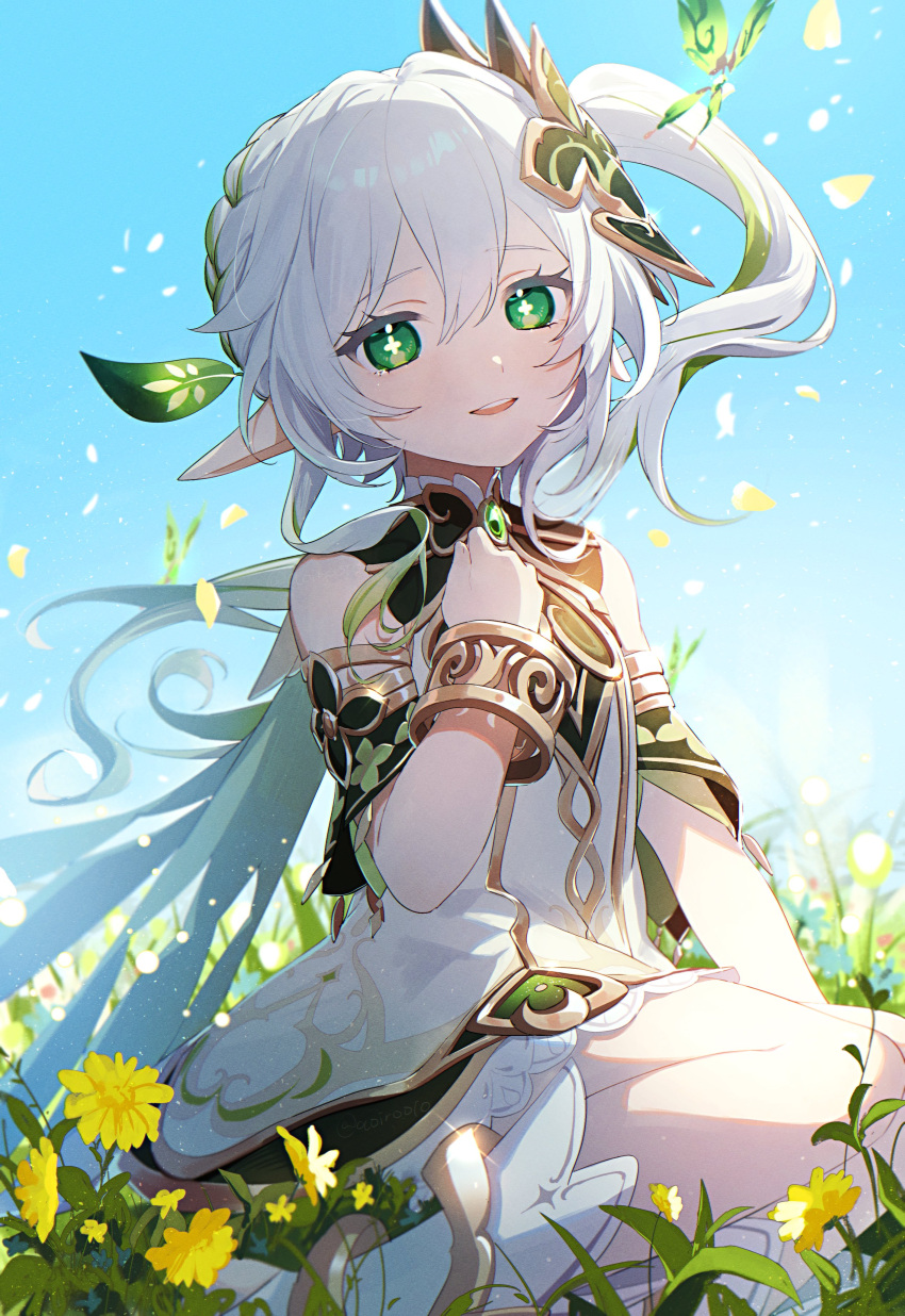 1girl absurdres aoppoi_oto bangs bare_shoulders braid breasts cross-shaped_pupils detached_sleeves dress falling_petals field flower flower_field genshin_impact green_eyes green_hair hair_between_eyes hair_ornament hand_on_own_chest highres kneeling leaf_hair_ornament long_hair looking_at_viewer multicolored_hair nahida_(genshin_impact) outdoors parted_lips petals pointy_ears side_ponytail small_breasts smile solo streaked_hair white_dress white_footwear white_hair yellow_flower