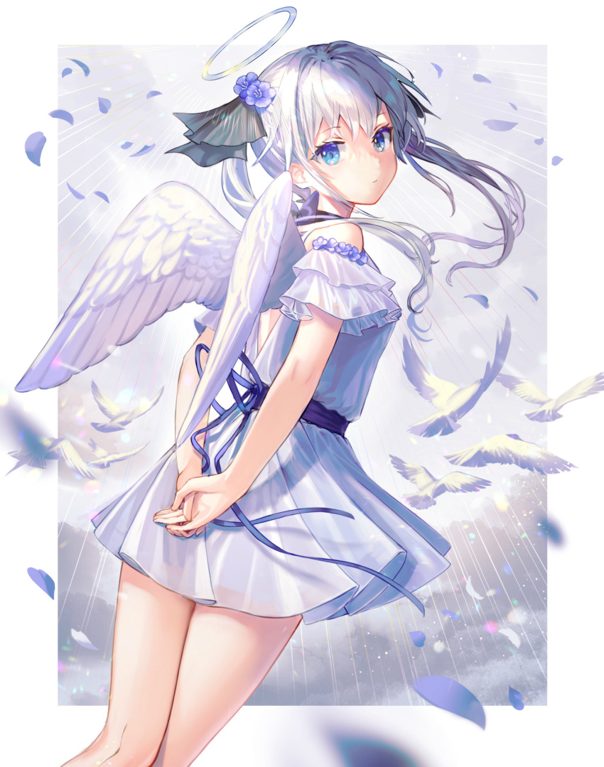1girl angel arms_behind_back bangs bare_legs bird blouse blue_eyes cropped_legs eyebrows_hidden_by_hair feathered_wings halo highres long_hair looking_at_viewer looking_back maica_sunahara off_shoulder original petals pigeon shirt skirt solo sunlight white_bird white_hair wings