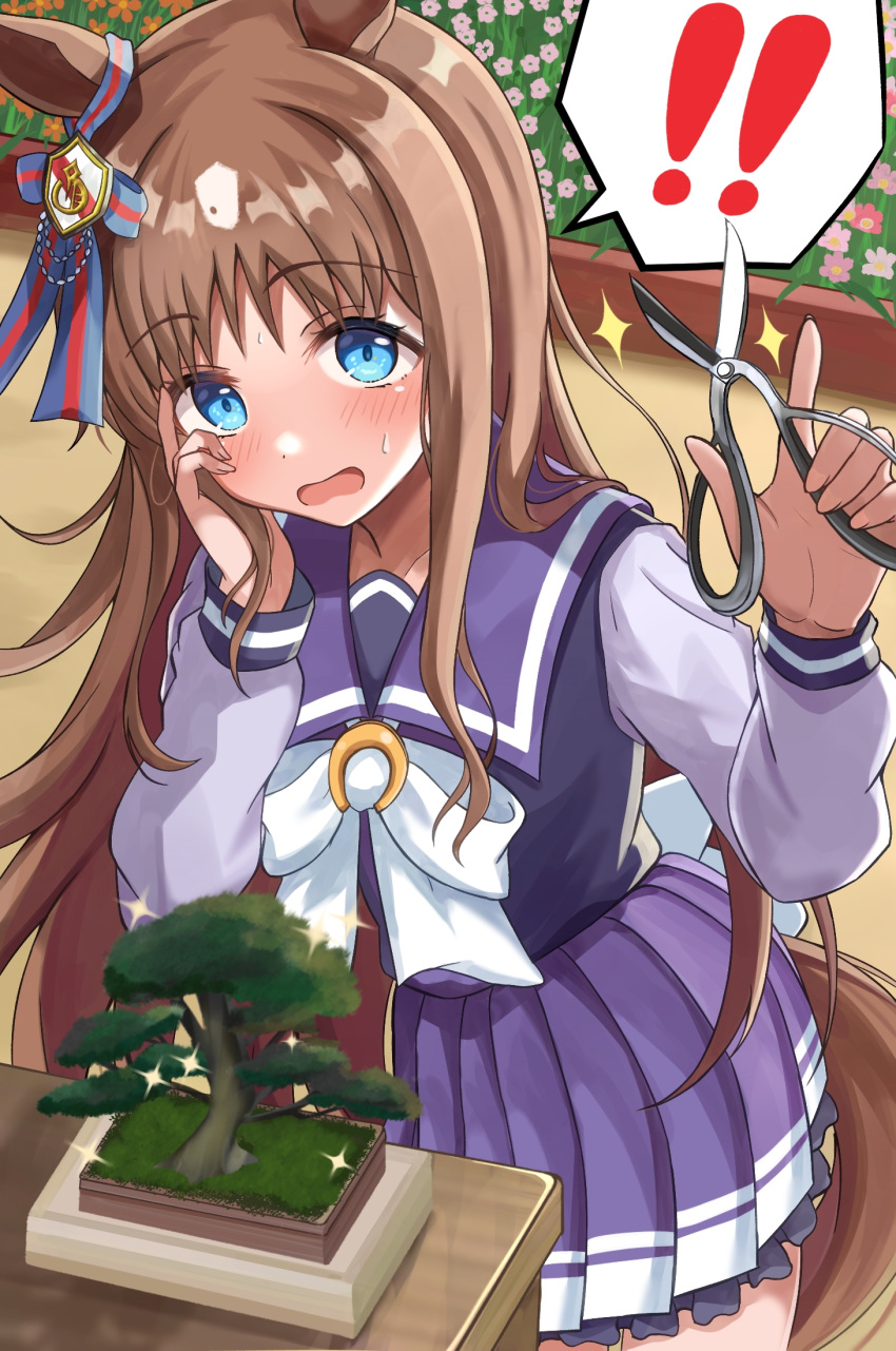 ! !! 1girl blue_eyes blush bonsai brown_hair commentary_request crouching_start grass_wonder_(umamusume) hair_ornament highres horse_girl long_hair looking_at_viewer open_mouth ribbon school_uniform solo tracen_school_uniform umamusume