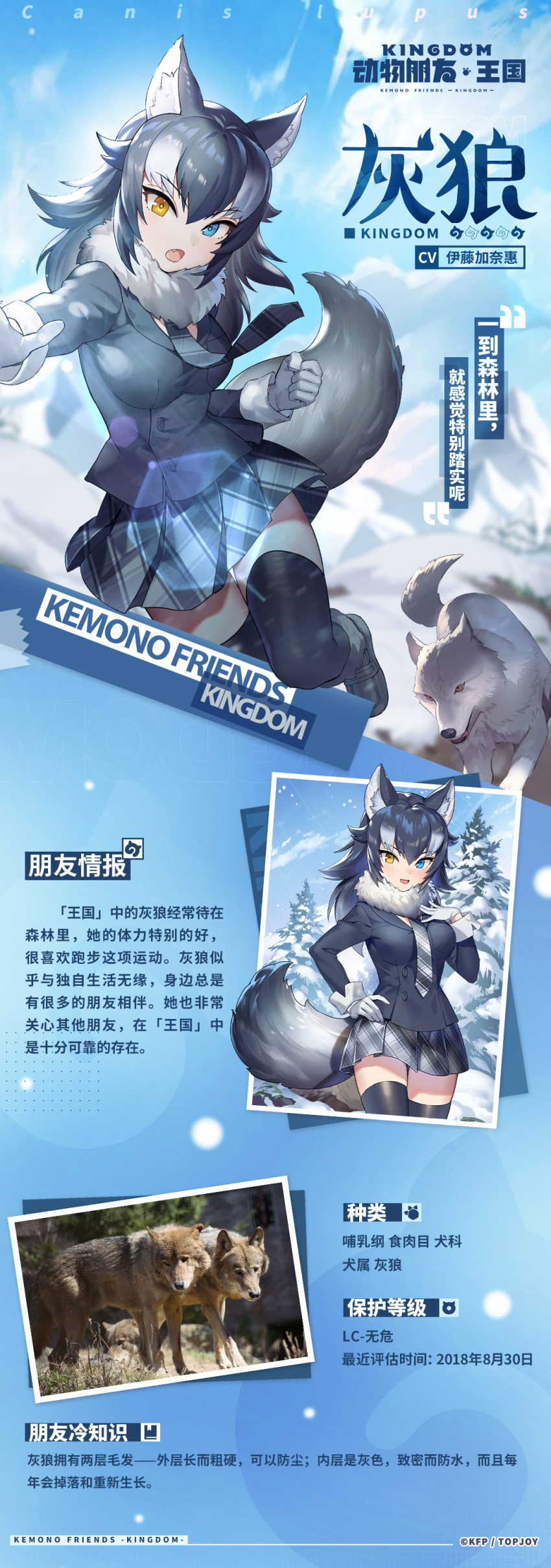 1girl absurdres animal_ear_fluff animal_ears black_coat black_hair black_thighhighs blurry chinese_text coat gloves grey_hair grey_wolf grey_wolf_(kemono_friends) heterochromia highres kemono_friends kemono_friends_kingdom mountain multicolored_hair nature open_mouth personification plaid plaid_skirt plaid_tie pose skirt smile snow snowing tail thigh-highs translation_request white_gloves wolf_ears wolf_girl wolf_tail