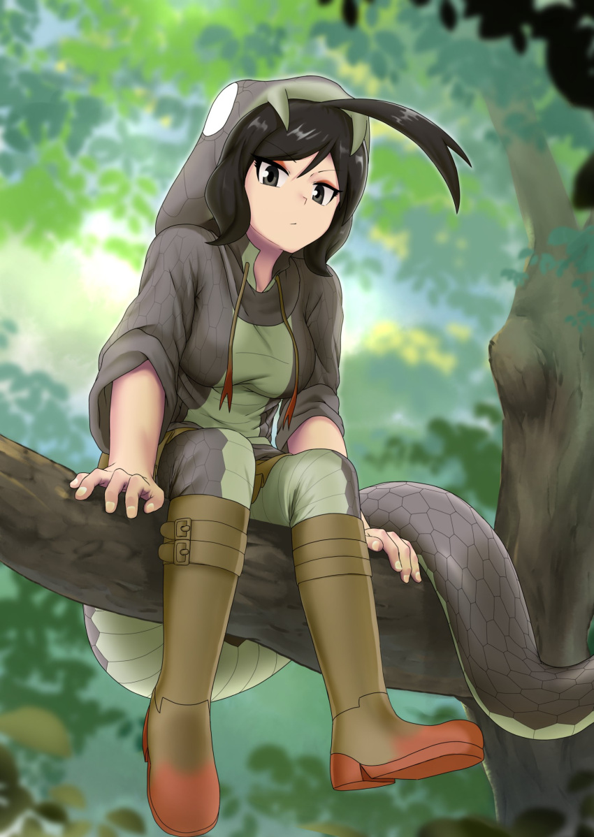 1girl :/ absurdres ahoge animal_hood black_eyes black_hair black_mamba_(kemono_friends) blurry blurry_background boots branch closed_mouth day drawstring expressionless eyelashes fingernails full_body hand_rest highres hood hood_up hoodie huge_ahoge in_tree kemono_friends leaf leaning_forward long_tail looking_at_viewer nso_mono outdoors pantyhose sitting sitting_in_tree skirt snake_hood snake_tail solo tail tree tsurime