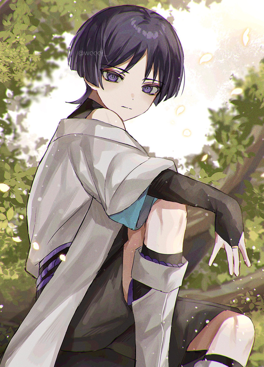 1boy artist_name bangs bare_shoulders black_hair black_shirt black_shorts blush branch bridal_gauntlets closed_mouth commentary_request genshin_impact highres in_tree jacket japanese_clothes knee_up leaf looking_at_viewer male_focus off_shoulder parted_bangs petals scaramouche_(genshin_impact) scaramouche_(wanderer)_(genshin_impact) shirt short_hair short_sleeves shorts sidelocks sitting sleeveless sleeveless_shirt solo tree twitter_username violet_eyes white_jacket wide_sleeves woooi