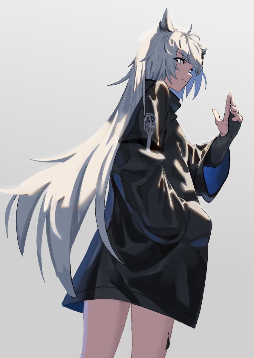 1girl absurdres animal_ears antenna_hair arknights black_coat black_gloves coat cowboy_shot from_behind gloves gradient gradient_background grey_background grey_hair hair_ornament hairclip hand_in_pocket highres holding lappland_(arknights) long_hair long_sleeves looking_at_viewer looking_back natoriusu_sansei no_tail oripathy_lesion_(arknights) partially_fingerless_gloves scar silver_hair simple_background solo very_long_hair wolf_ears wolf_girl yellow_eyes