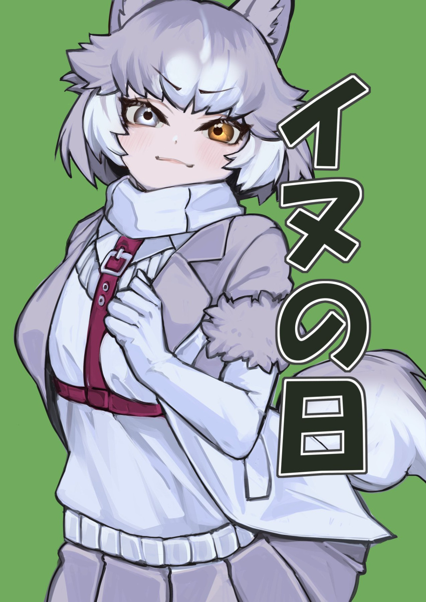 1girl a888_n22 blue_eyes blush commentary_request cowboy_shot dog_(mixed_breed)_(kemono_friends) elbow_gloves gloves grey_hair grey_jacket grey_skirt harness heterochromia highres jacket kemono_friends looking_at_viewer multicolored_clothes multicolored_hair multicolored_jacket pleated_skirt scarf short_hair short_sleeves skirt solo translation_request two-tone_hair two-tone_jacket vest white_gloves white_hair white_jacket white_scarf white_vest yellow_eyes