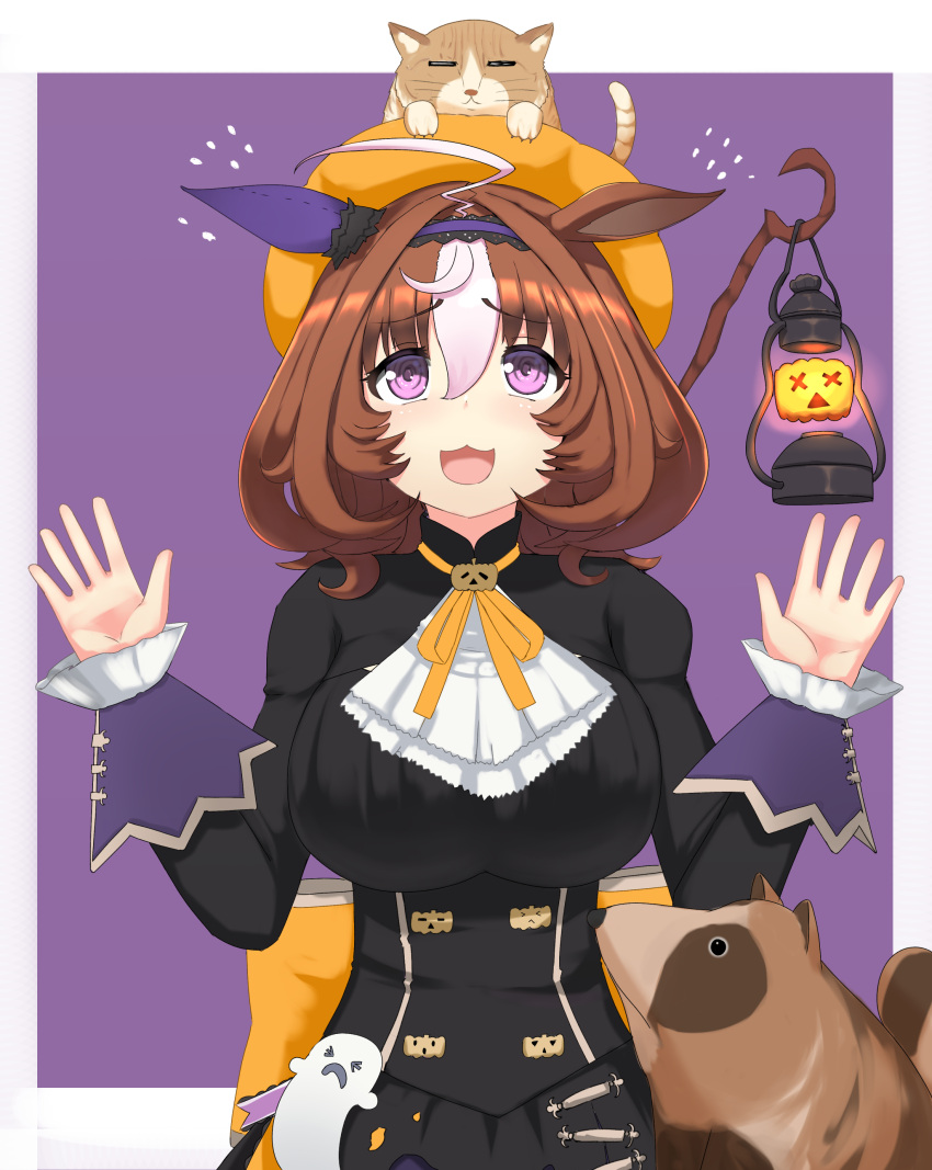 1girl :3 absurdres ahoge animal_ears animal_on_head ascot back_bow bangs black_dress bow brown_hair cat commentary days_in_a_flash_(umamusume) dress ear_covers flying_sweatdrops frilled_sleeves frills ghost_ornament halloween halloween_costume hat high_collar highres horse_ears horse_girl horse_tail jack-o'-lantern_ornament juliet_sleeves lantern large_bow long_sleeves looking_up marimo_maru medium_hair meisho_doto_(dot-o'-lantern)_(umamusume) meisho_doto_(umamusume) multicolored_hair neck_ribbon official_alternate_costume on_head open_mouth orange_bow orange_headwear orange_ribbon outside_border puffy_sleeves purple_background raccoon ribbon simple_background single_ear_cover solo staff standing tail two-tone_hair umamusume violet_eyes w_arms white_ascot white_background white_hair