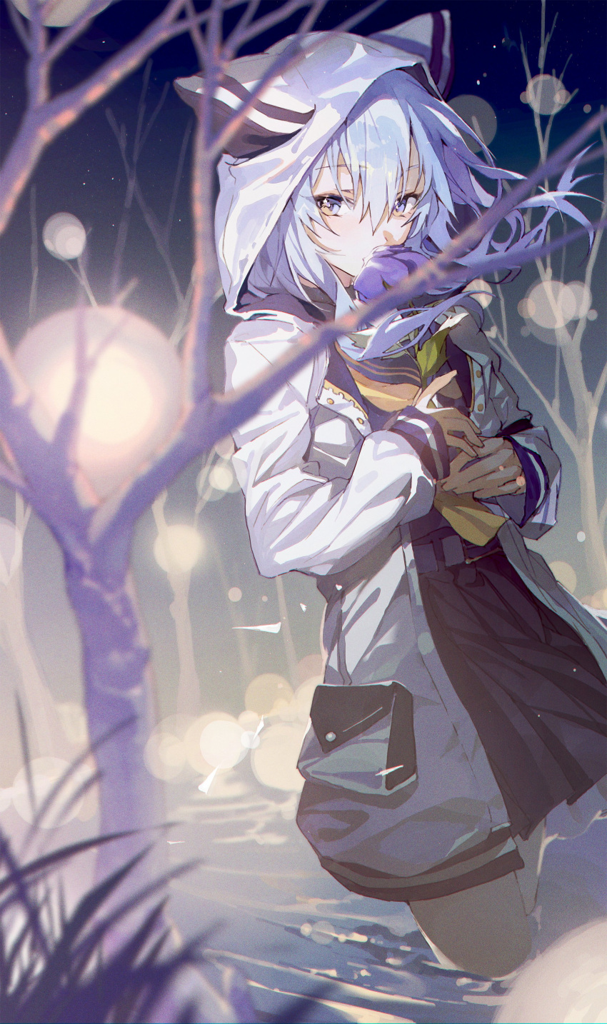 1girl absurdres animal_hood bangs bare_tree black_shirt black_skirt blue_eyes blue_hair blurry blurry_foreground cat_hood coat covered_mouth cowboy_shot highres hood hoshimachi_suisei hxxg indie_virtual_youtuber light night night_sky open_clothes open_coat outdoors own_hands_together pleated_skirt pond shirt short_hair short_sleeves skirt sky solo standing tree virtual_youtuber wading water white_coat