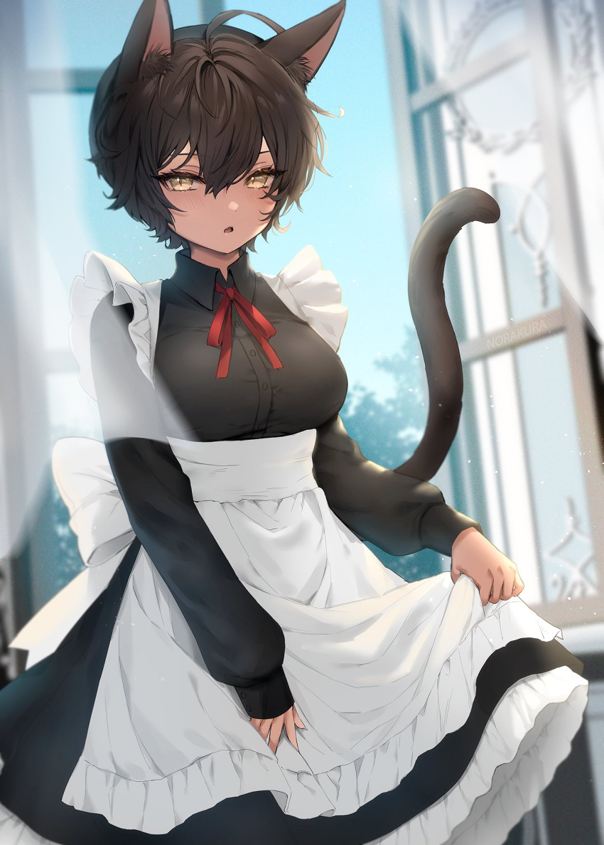1girl ahoge animal_ear_fluff animal_ears apron blurry breasts brown_eyes brown_hair cat_ears clothes_lift commentary dark-skinned_female dark_skin depth_of_field dress dress_lift fang highres kura_noi large_breasts long_sleeves maid maid_apron open_mouth open_window original short_hair solo symbol-only_commentary tail window