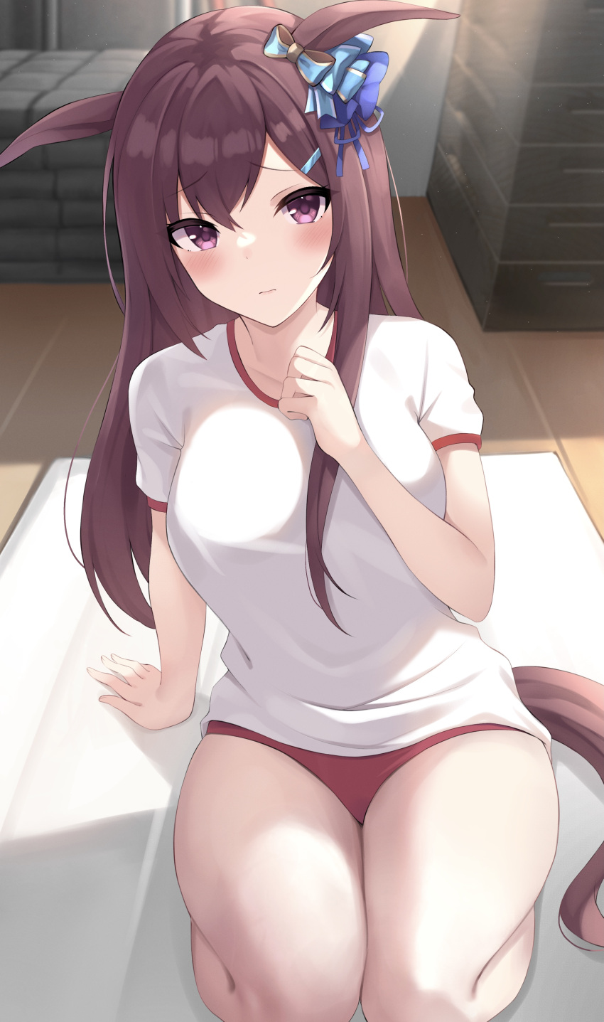 1girl absurdres animal_ears black_hair blush breasts buruma commentary_request gym_uniform hair_ornament hairclip highres horse_ears horse_girl long_hair looking_at_viewer medium_breasts mejiro_dober_(umamusume) shirt sitting solo thighs umamusume violet_eyes zeatto