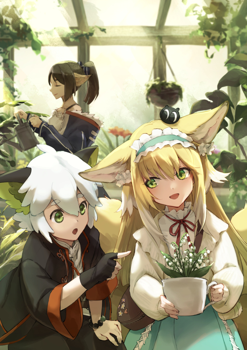 3girls :d absurdres animal_ear_fluff animal_ears arknights bangs bare_shoulders black_gloves black_hair black_jacket blonde_hair blue_hairband blue_jacket blue_sky camisole closed_mouth e-bushi fingerless_gloves flower fox_ears fox_girl fox_tail frilled_hairband frills gloves green_eyes greenhouse grey_hair hair_between_eyes hairband highres holding indoors jacket kitsune lily_of_the_valley long_hair long_sleeves luoxiaohei multiple_girls neck_ribbon open_clothes open_jacket perfumer_(arknights) pointing pointy_ears ponytail profile puffy_long_sleeves puffy_sleeves red_flower red_ribbon ribbon shirt single_glove sky smile suzuran_(arknights) suzuran_(spring_praise)_(arknights) tail the_legend_of_luo_xiaohei very_long_hair watering_can white_camisole white_flower white_jacket white_shirt window