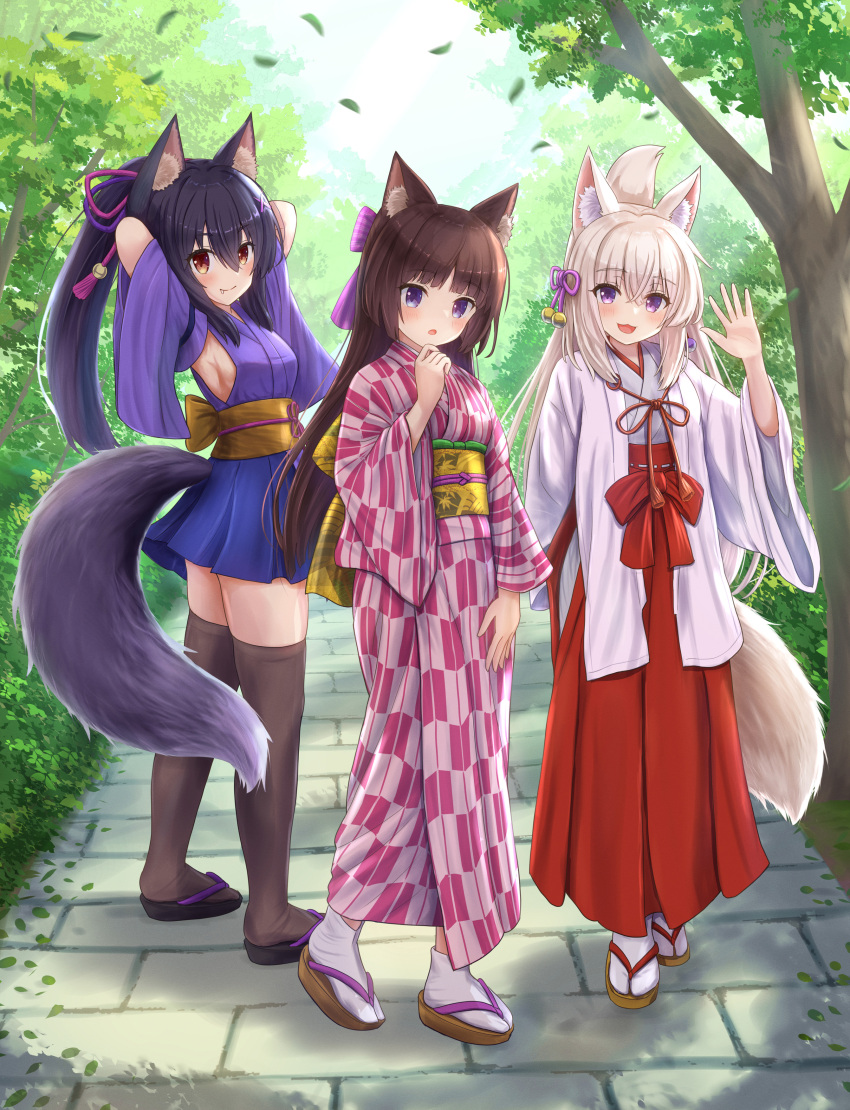 :d :o absurdres animal_ear_fluff animal_ears armpits arms_behind_head arms_up bangs black_footwear black_hair blue_eyes blue_kimono blush bow breasts brown_eyes brown_footwear brown_hair brown_thighhighs cat_ears closed_mouth commentary_request day fang fang_out folded_ponytail fox_ears fox_girl fox_tail grey_hair hair_between_eyes hair_bow hakama hakama_skirt hand_up highres iroha_(iroha_matsurika) japanese_clothes kimono koyoi_(iroha_(iroha_matsurika)) kunoichi-chan_(iroha_(iroha_matsurika)) miko mutsuki_(iroha_(iroha_matsurika)) obi original outdoors parted_lips print_kimono red_hakama sash short_kimono skirt small_breasts smile socks striped striped_bow tabi tail thigh-highs tree violet_eyes white_kimono white_socks wolf_ears wolf_girl wolf_tail yagasuri zouri