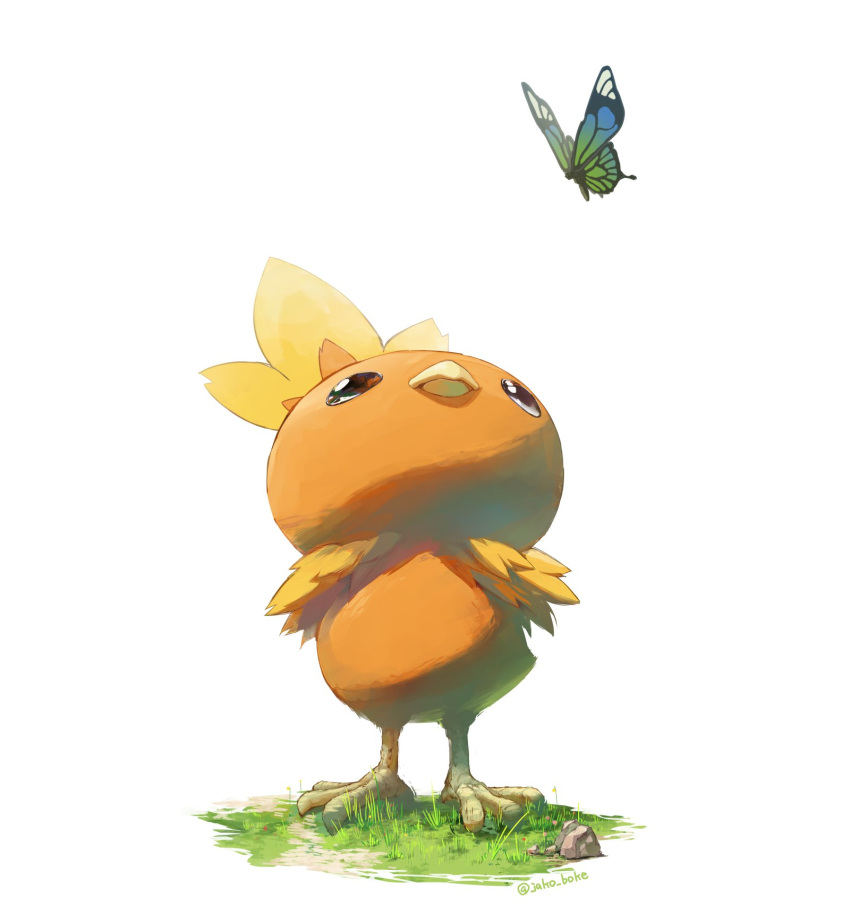 bird bug butterfly chick commentary_request full_body grass highres insect jako_(boke_poke) looking_up no_humans pokemon pokemon_(creature) rock standing torchic twitter_username white_background