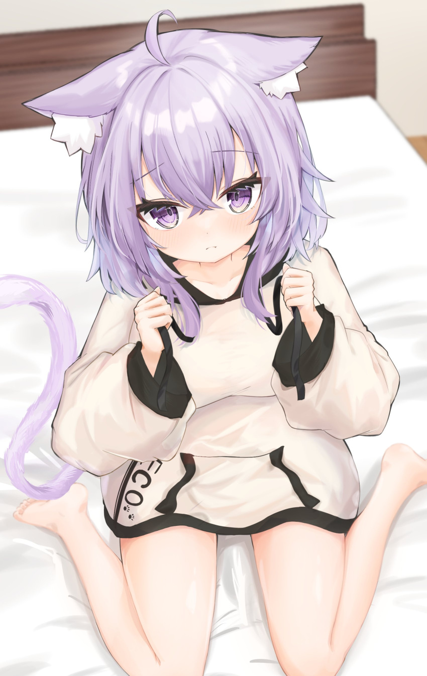 1girl absurdres ahoge ame_to_ame animal_ear_fluff animal_ears bare_legs barefoot bed cat_ears cat_girl cat_tail highres hololive hood hood_down hoodie long_sleeves looking_at_viewer medium_hair nekomata_okayu no_pants on_bed purple_eyes purple_hair sitting solo tail violet_eyes virtual_youtuber wariza