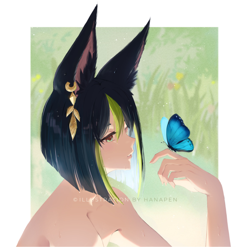 1boy 1girl animal_ear_fluff animal_ears artist_name bangs bare_shoulders bishounen black_hair blue_butterfly blunt_ends brown_eyes bug butterfly butterfly_on_hand colored_eyelashes commentary_request earrings fox_boy fox_ears genshin_impact grass green_background green_eyes green_hair hair_between_eyes hanapen hand_up insect jewelry looking_away male_focus mixed-language_commentary multicolored_background multicolored_eyes multicolored_hair parted_lips profile short_hair sidelocks single_earring solo streaked_hair tighnari_(genshin_impact) topless upper_body watermark wet white_background