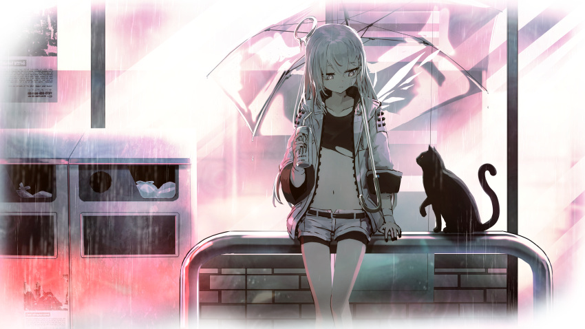 1girl bangs building can cat crop_top drinking_straw energy_drink grey_eyes halo highres holding holding_can jacket long_hair monster_energy namako_(namacotan) open_clothes open_jacket original outdoors rain short_shorts shorts sitting soda_can solo umbrella