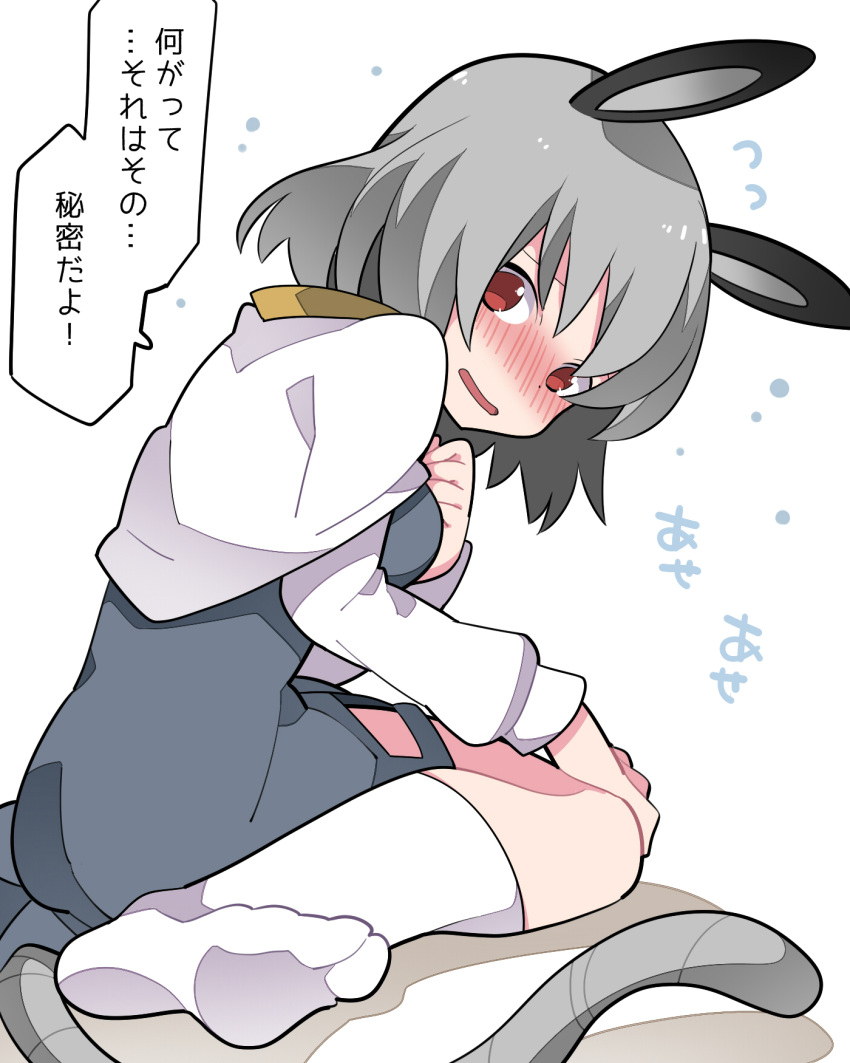 1girl animal_ears bangs blush breasts capelet commentary_request dress feet full_body grey_dress grey_hair hammer_(sunset_beach) highres long_sleeves looking_at_viewer medium_breasts mouse_ears mouse_girl mouse_tail nazrin no_shoes nose_blush open_mouth red_eyes shirt short_hair simple_background sitting socks soles solo tail touhou translation_request wariza white_background white_capelet white_legwear white_shirt