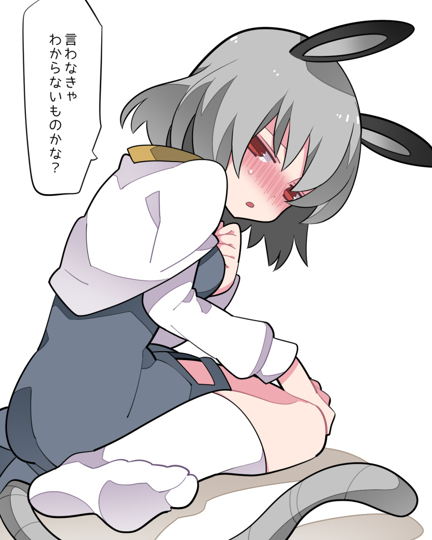 1girl animal_ears bangs blush breasts capelet commentary_request dress feet full_body gradient gradient_background grey_dress grey_hair half-closed_eyes hammer_(sunset_beach) highres long_sleeves looking_at_viewer medium_breasts mouse_ears mouse_girl mouse_tail nazrin no_shoes nose_blush open_mouth red_eyes shirt short_hair simple_background sitting socks soles solo tail touhou translation_request wariza white_background white_capelet white_legwear white_shirt