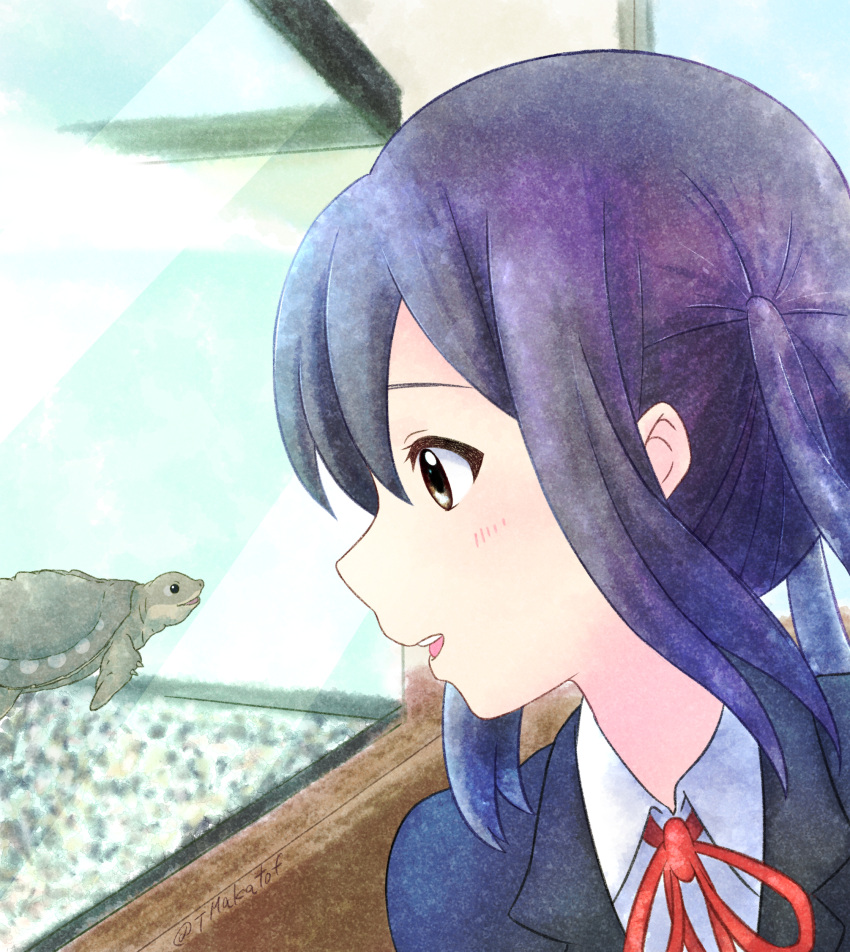 1girl absurdres bird black_hair black_jacket blush brown_eyes collared_shirt commentary_request fish_tank highres jacket k-on! looking_at_animal looking_to_the_side nakano_azusa neck_ribbon parted_lips portrait red_ribbon ribbon safe sakuragaoka_high_school_uniform school_uniform shirt smile solo teeth tmakatof ton-chan turtle twintails upper_teeth white_shirt