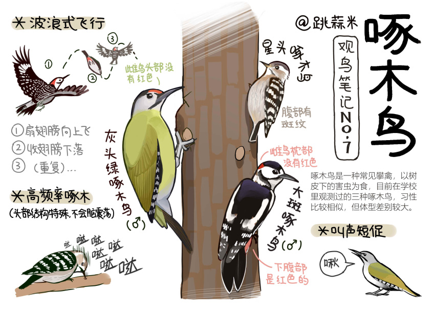 animal animal_focus bird black_eyes chinese_commentary chinese_text closed_mouth commentary_request flying from_side full_body garlica highres multiple_views no_humans original pecking simple_background sound_effects translation_request tree white_background