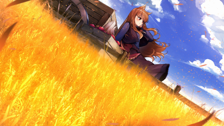 1girl animal_ear_fluff animal_ears black_vest blue_shirt brown_hair brown_skirt cart clouds commentary_request dutch_angle fence field from_side highres holo horizon leaning_back long_hair looking_to_the_side marutenmaruten petals red_eyes rural safe shirt skirt sky smile solo spice_and_wolf tail vest wheat wheat_field wolf_ears wolf_girl wolf_tail