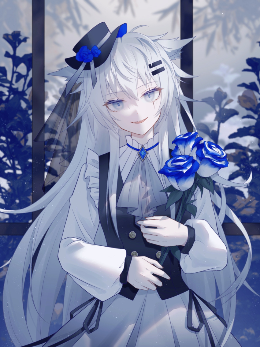 1girl :d alternate_costume animal_ears arknights ascot bangs black_headwear black_vest blue_eyes blue_flower blue_rose cowboy_shot dress flower grey_ascot hat head_tilt highres holding holding_flower lappland_(arknights) liuyoumu long_sleeves looking_at_viewer rose scar scar_across_eye scar_on_face sharp_teeth smile solo teeth upper_teeth vest white_dress window wolf_ears