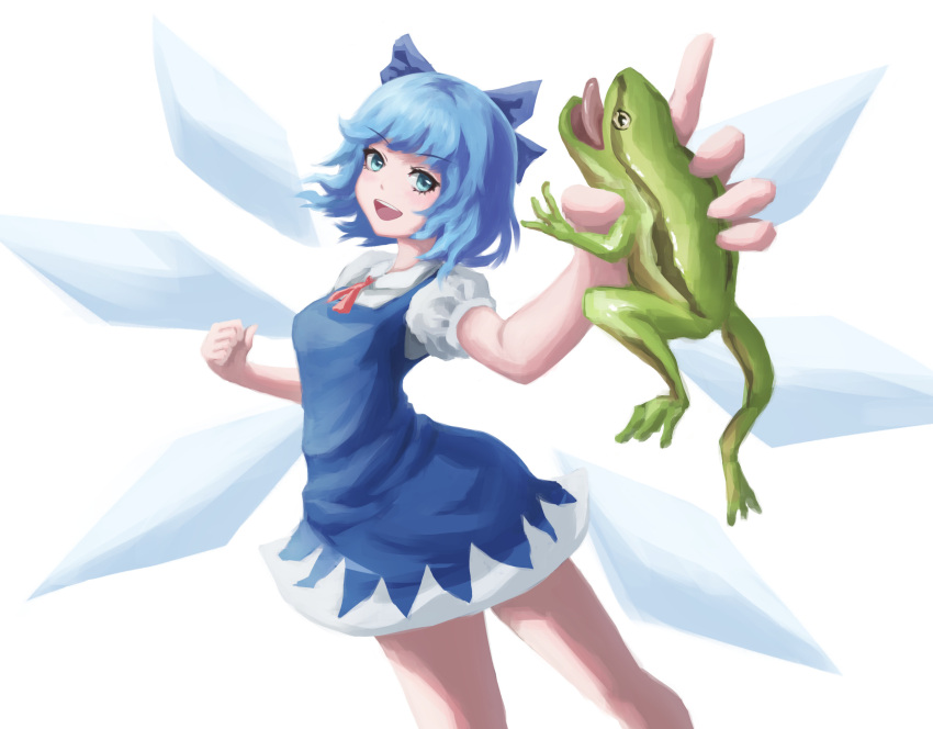 1girl animal blue_bow blue_dress blue_eyes blue_hair bow breasts cirno collared_shirt cowboy_shot detached_wings dress foreshortening frog greentale_(fegdgn) hair_bow highres holding holding_animal looking_at_viewer medium_hair open_mouth pinafore_dress puffy_short_sleeves puffy_sleeves shirt short_sleeves simple_background small_breasts solo teeth touhou upper_teeth v-shaped_eyebrows white_background white_shirt wings