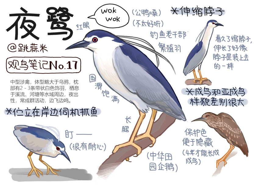animal animal_focus bird chinese_commentary chinese_text closed_mouth commentary_request from_side full_body garlica highres information_sheet multiple_views no_humans original red_eyes simple_background speech_bubble translation_request white_background
