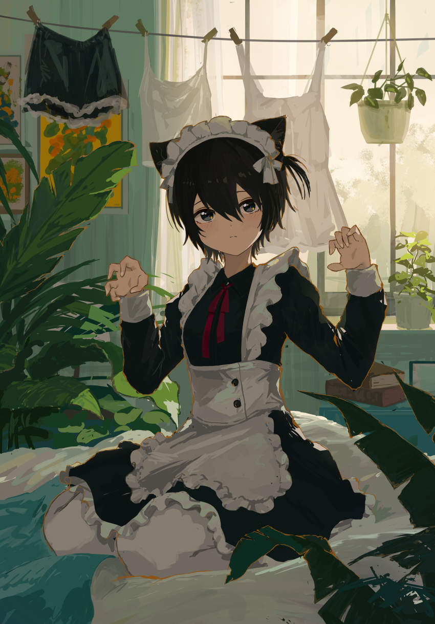 1girl absurdres animal_ear_fluff animal_ears apron bangs black_dress black_eyes black_hair cat_ears cat_girl claw_pose closed_mouth clothes clothes_pin clothesline dress drying drying_clothes hair_between_eyes hanging highres indoors kgt_(pixiv12957613) kneeling laundry looking_at_viewer maid original pantyhose plant short_hair solo white_apron white_pantyhose