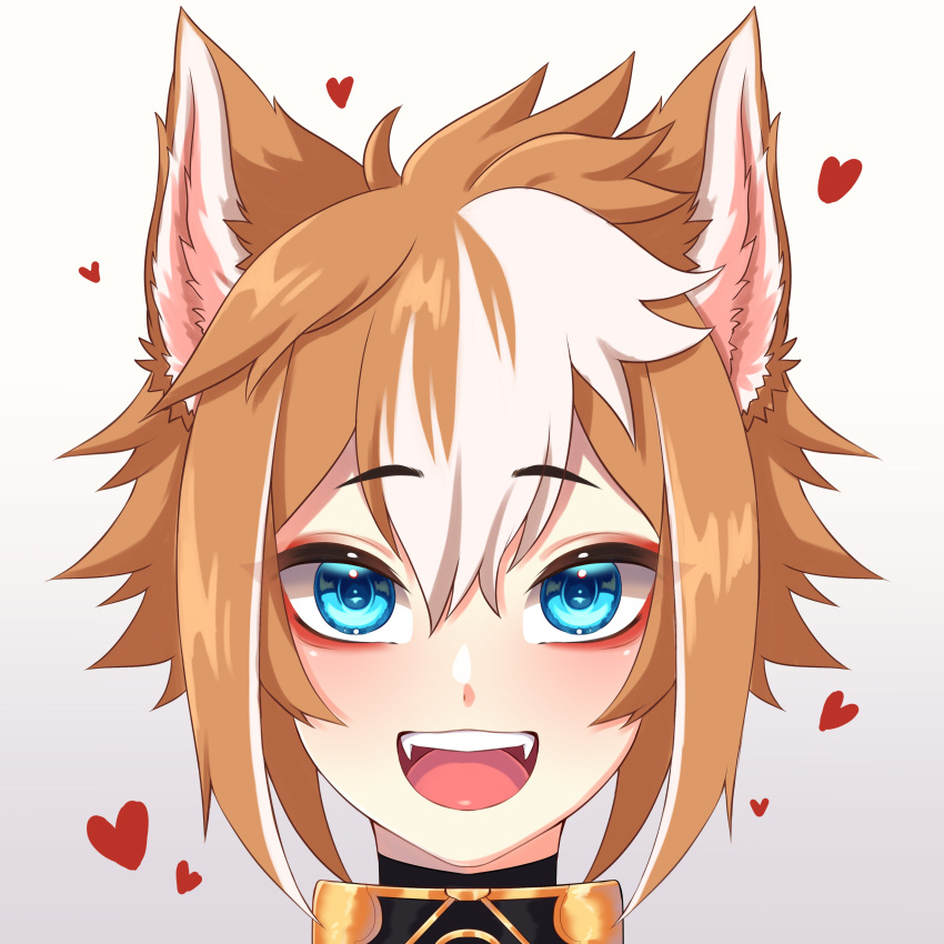 1boy absurdres animal_ear_fluff animal_ears bangs blue_eyes blush brown_hair collared_shirt dog_boy dog_ears dog_tail eye_contact fang genshin_impact gorou_(genshin_impact) hair_between_eyes heart highres looking_at_another looking_at_viewer male_focus multicolored_hair open_mouth portrait senpaiartz shirt simple_background smile streaked_hair tail two-tone_hair upper_body white_hair